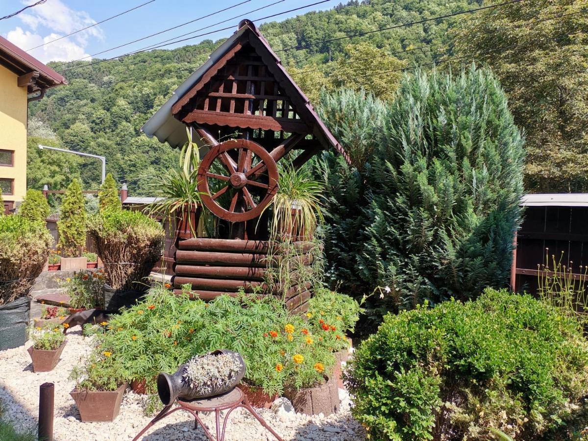 Shelby Accommodation -Adult Only- Sinaia Zewnętrze zdjęcie