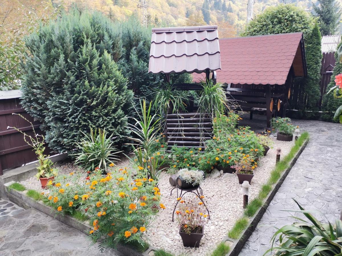 Shelby Accommodation -Adult Only- Sinaia Zewnętrze zdjęcie